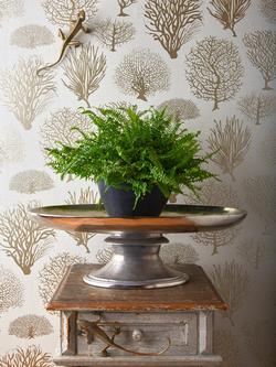 Cole & Son Seafern Wallpaper - view 2, Brown / Cream 107/2010