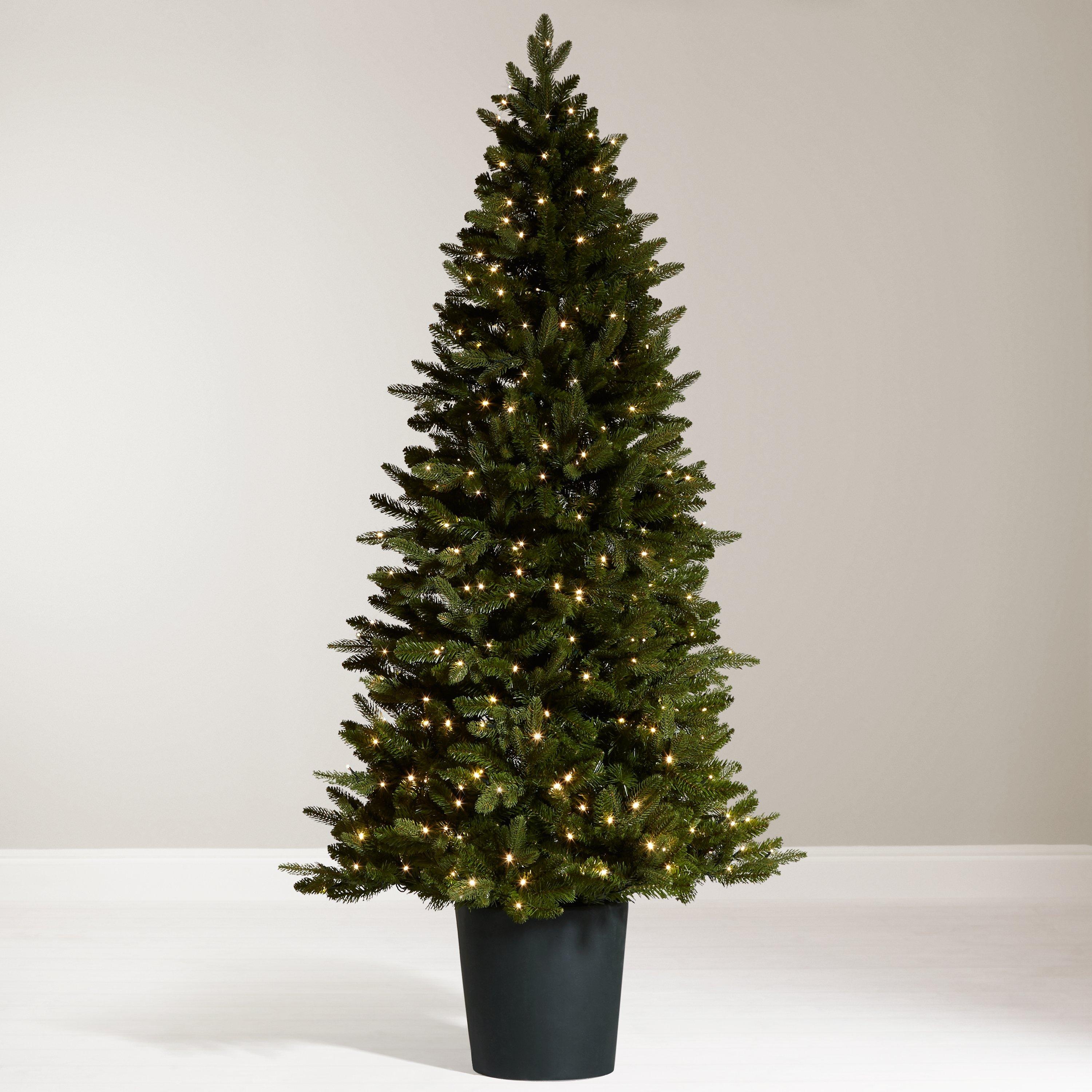 John Lewis & Partners Bala Pre-Lit Potted Fir Christmas Tree, 7ft