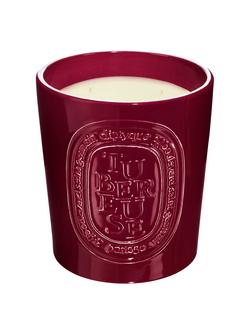 Diptyque Large Indoor & Outdoor Tubéreuse Scented Candle, 1500g - view 2, 