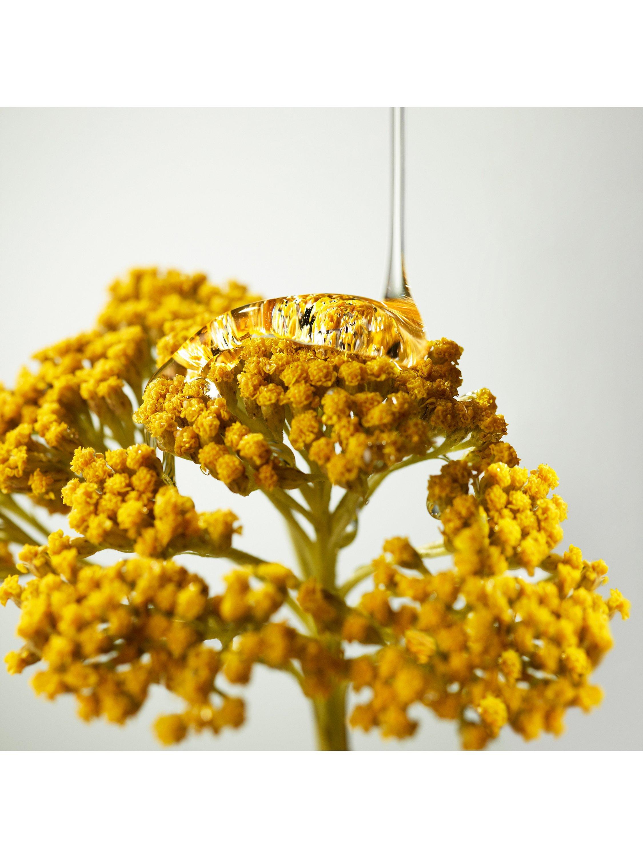 Product image 4 of 4, which shows Origins Plantscription™ Youth-Renewing Power Night Cream, 50ml