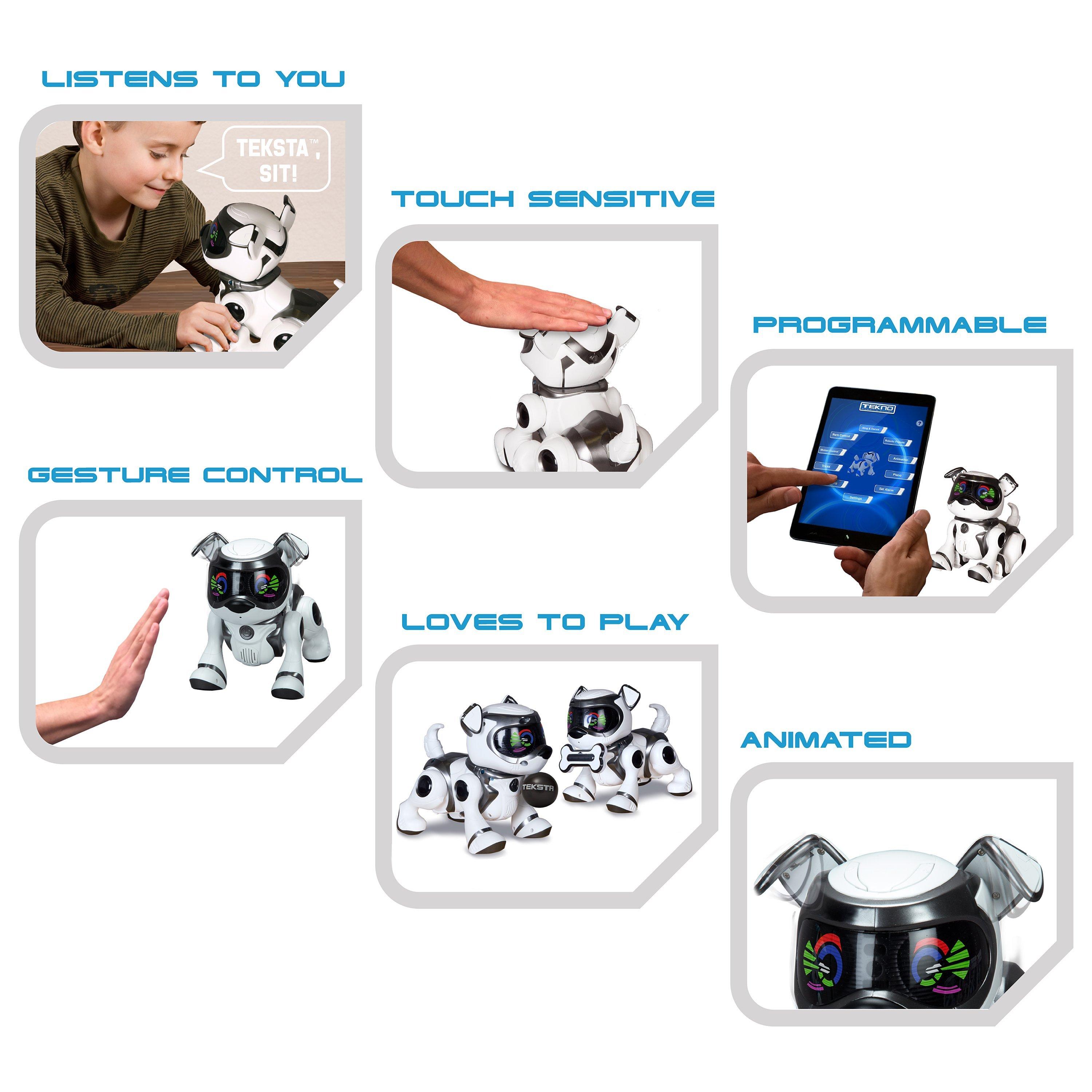 Teksta Voice Recognition Robotic Puppy