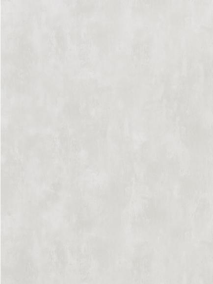 Designers Guild Parchment Paste the Wall Wallpaper, Silver Birch Pdg719/03