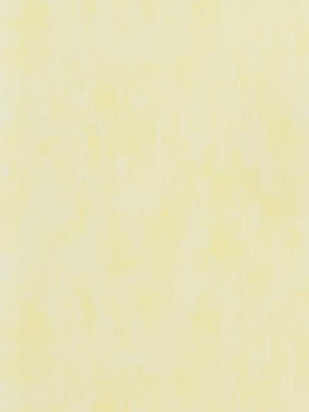 Designers Guild Parchment Paste the Wall Wallpaper, Primrose Pdg719/32