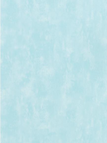 Designers Guild Parchment Paste the Wall Wallpaper, Aqua Pdg719/25