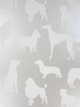 Oborne & Little Best In Show Wallpaper