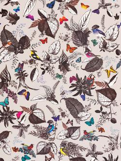 Osborne & Little Bird Song Wallpaper, W6596-01, Multi W6596-01