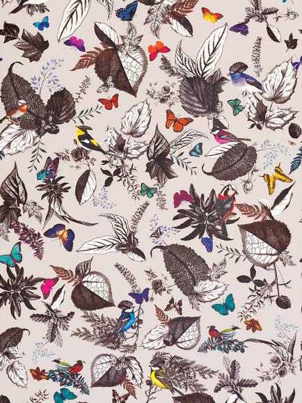 Osborne & Little Bird Song Wallpaper, W6596-01, Multi W6596-01