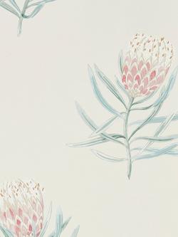 Sanderson Protea Flower Wallpaper, Dart216330