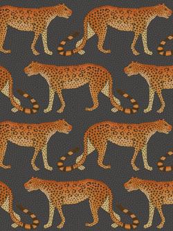 Cole & Son Leopard Walk Wallpaper, 109/2008