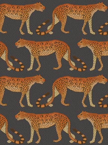 Cole & Son Leopard Walk Wallpaper, 109/2008