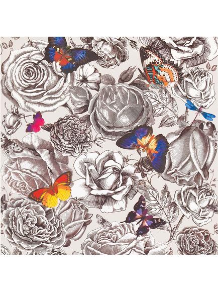 Osborne & Little Butterfly Garden Wallpaper, Multi W6592-01