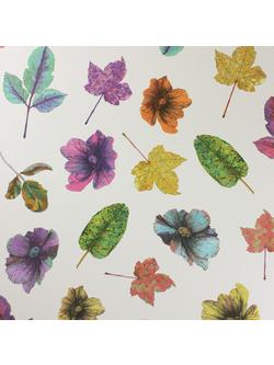Osborne & Little Woodland Wallpaper, Multi W7020-04