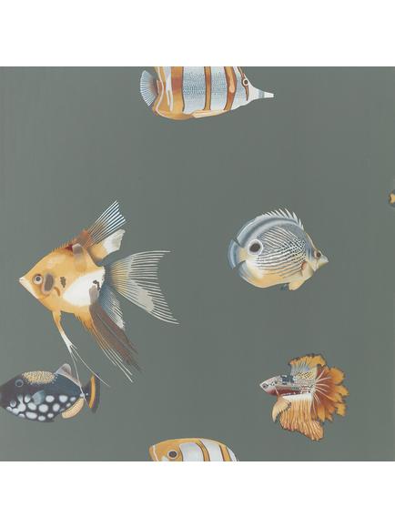 Harlequin Kamanu Wallpaper, Amber / Slate 111648