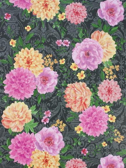 Matthew Williamson Duchess Garden Wallpaper, Charcoal/ Fuschia/Saffron W7147-02