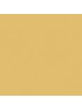 The Little Greene Paint Company Absolute Matt Emulsion Yellows Tester Pot, Gold (53)
