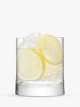 LSA International Gin Glass Tumblers, Clear, 310ml, Set of 2