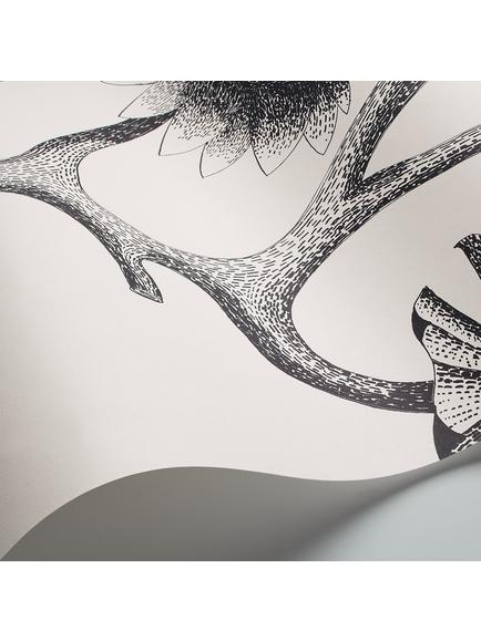 Cole & Son Lily Wallpaper - view 2, Black And White 95/4020