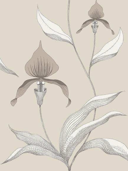 Cole & Son Orchid Wallpaper, Linen And White 95/10058