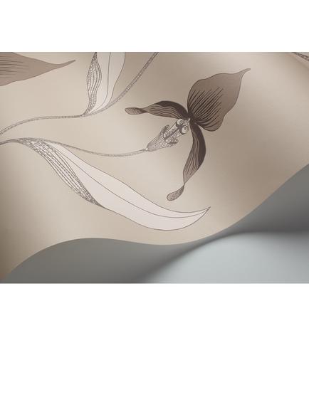 Cole & Son Orchid Wallpaper - view 2, Linen And White 95/10058