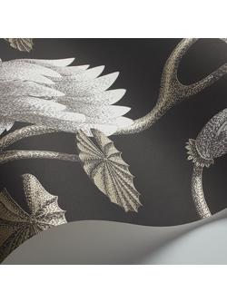 Cole & Son Summer Lily Wallpaper - view 2, Black, White And Gold 95/4026