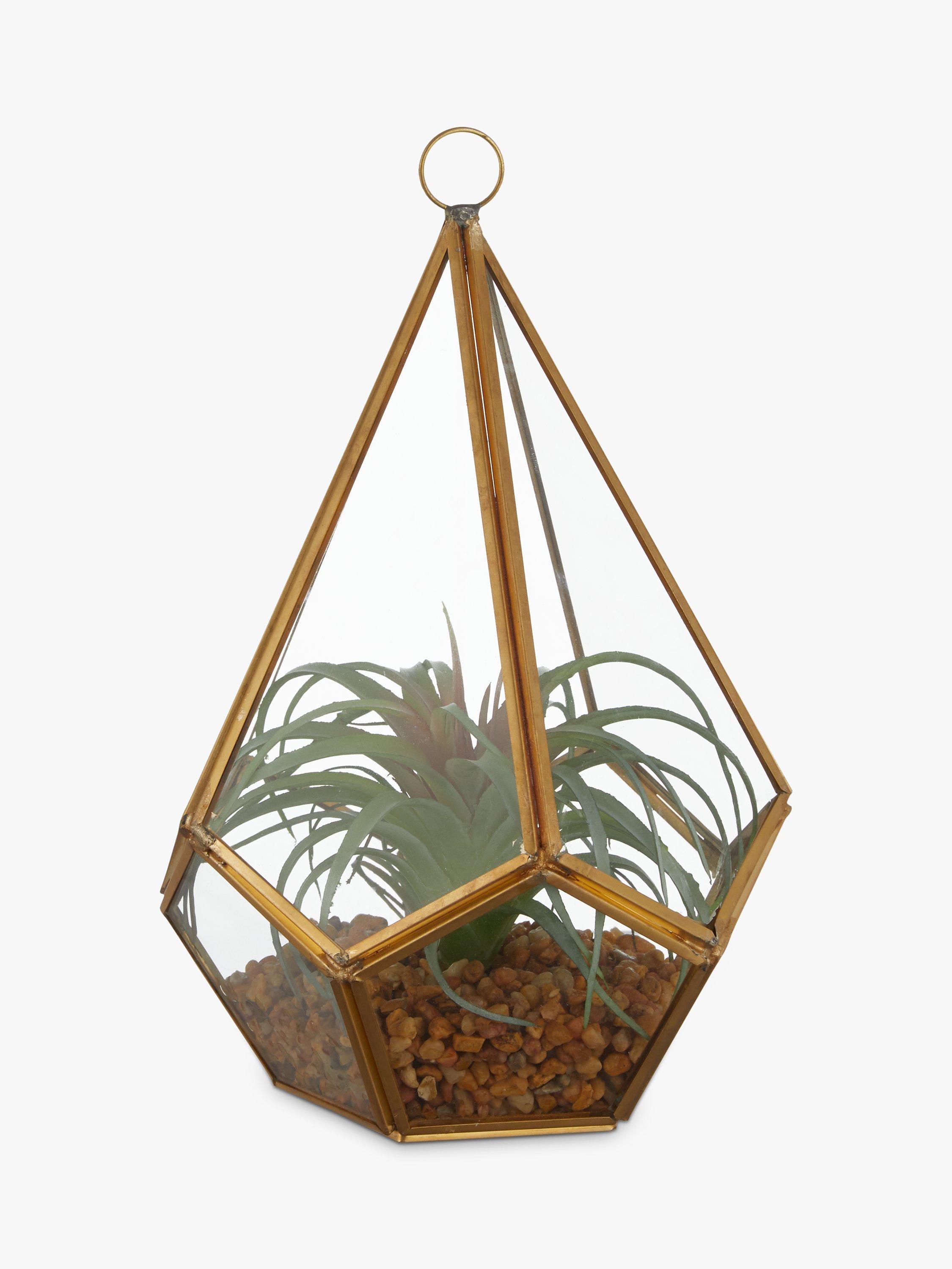 John Lewis & Partners Artificial Tallansia Glass Terrarium, Green/Gold