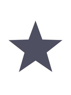 Galerie Big Star Wallpaper, Multi G23317