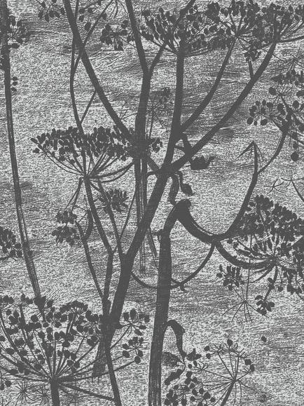 Cole & Son Cow Parsley Wallpaper, 112/8026