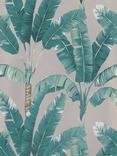 Osborne & Little 50th Anniversary Palmaria Wallpaper