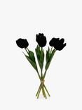 Peony Single Stem Tulip, Set of 6