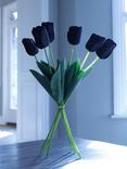 Peony Single Stem Tulip, Set of 6