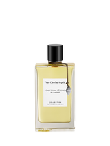 Van Cleef and Arpels Collection Extraordinaire Thé Amara Eau de