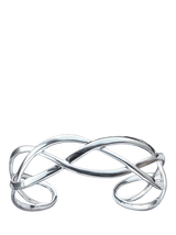 Nina B Silver