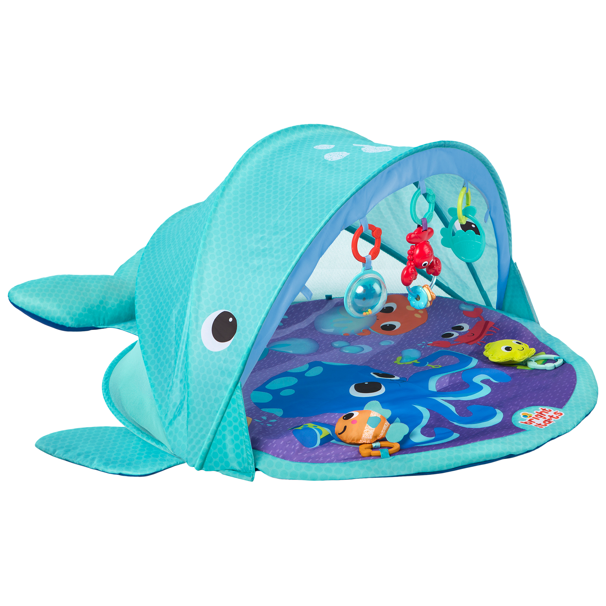 Bright Starts Explore Go Whale Activity Gym