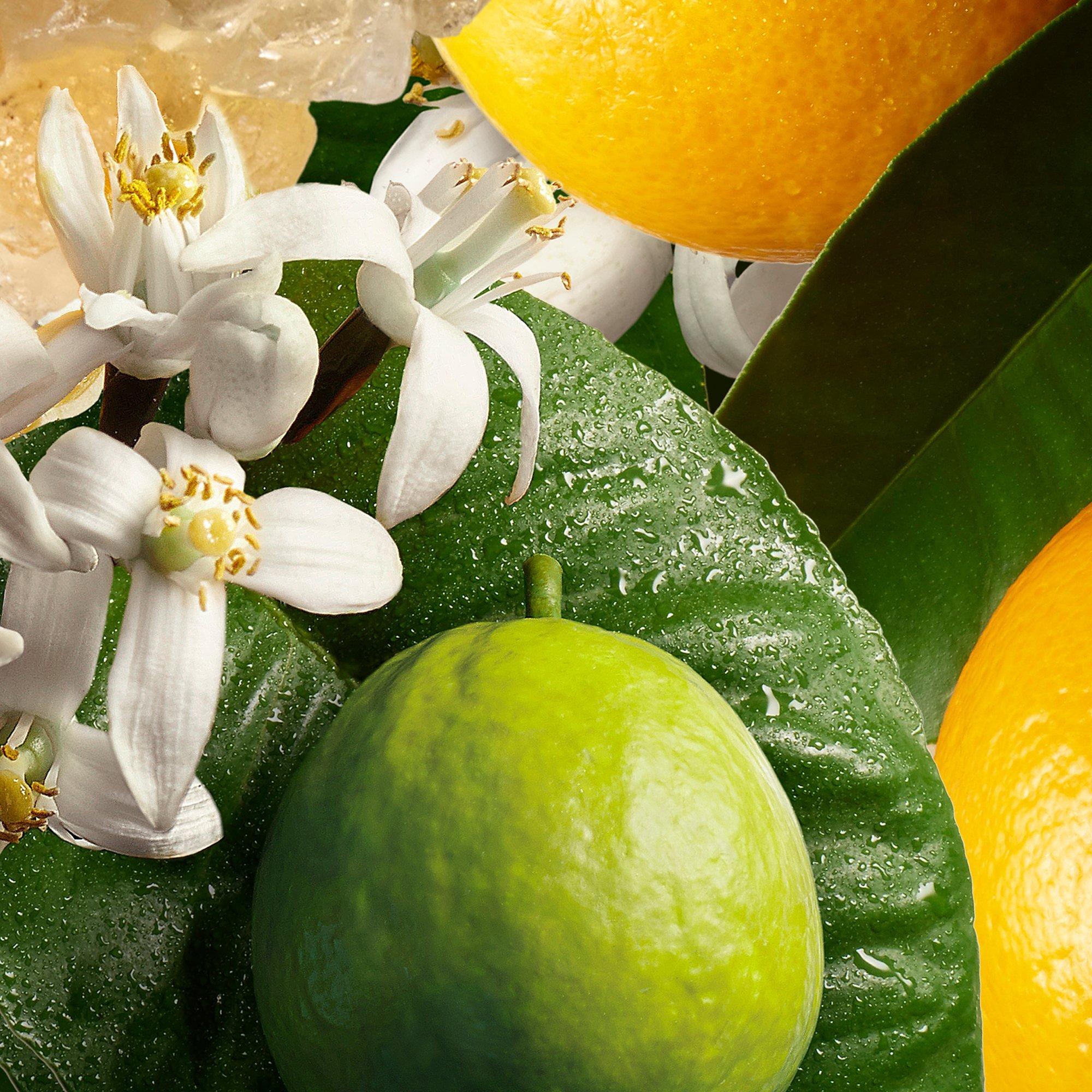 Product image 5 of 6, which shows Molton Brown Orange & Bergamot Bath & Shower Gel, 300ml