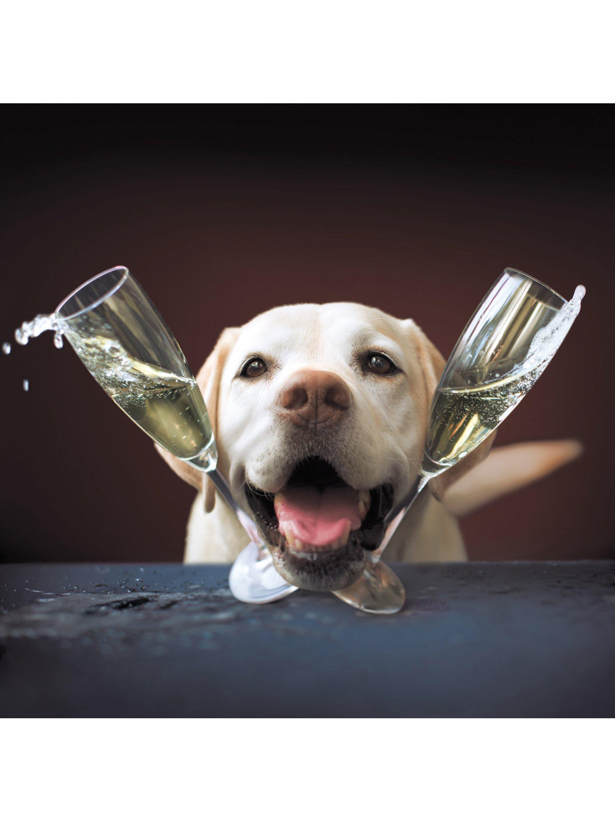 Woodmansterne Dog & Champagne Greeting Card