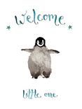 Louise Mulgrew Designs New Baby Boy Card