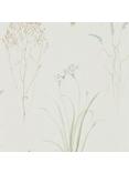 Sanderson Farne Grasses Wallpaper