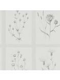 Sanderson Little Thistles Wallpaper