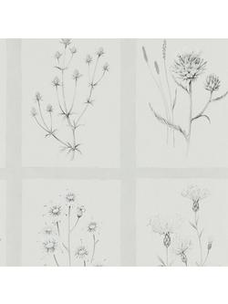 Sanderson Little Thistles Wallpaper, Debb216512
