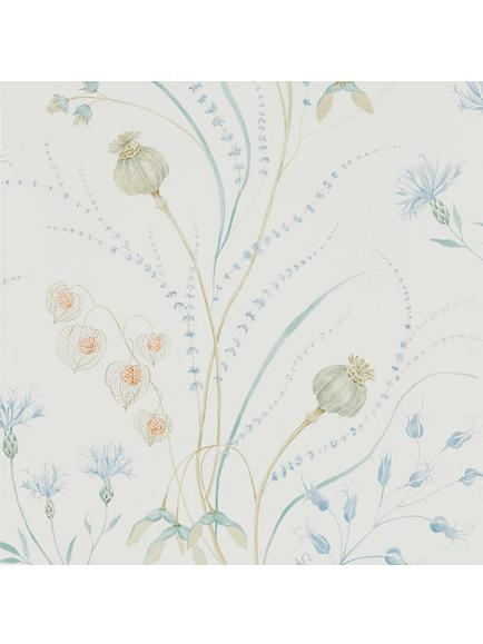 Sanderson Summer Harvest Wallpaper, Debb216496