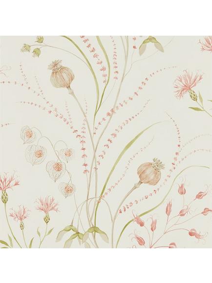 Sanderson Summer Harvest Wallpaper, Debb216495