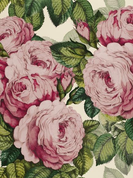Designers Guild The Rose Wallpaper, Tuberose Pjd6002/02