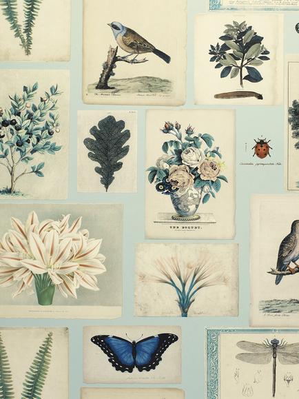 Designers Guild Flora and Fauna Wallpaper, Cloud Blue Pjd6001/02