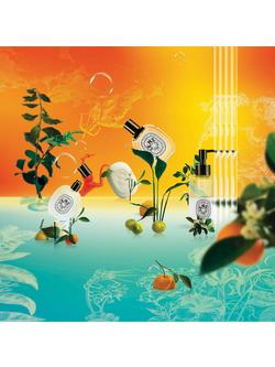 Diptyque Eau des Sens Hair Mist, 30ml - view 2, 