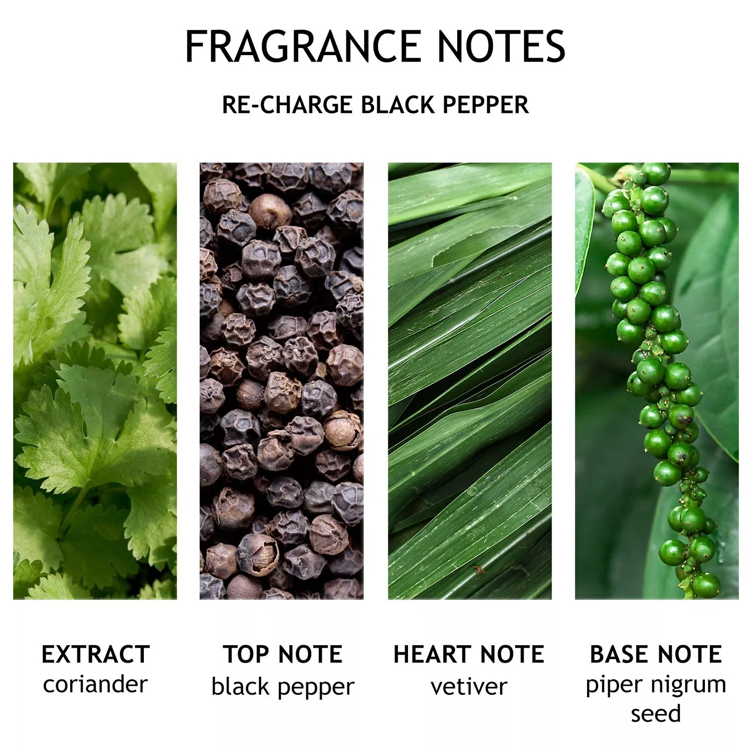 thumbnail image 2 of Molton Brown Re-Charge Black Pepper Bath & Shower Gel 300ml – Energizing Woody-Citrus Scent, Award-Winning 2 of 3