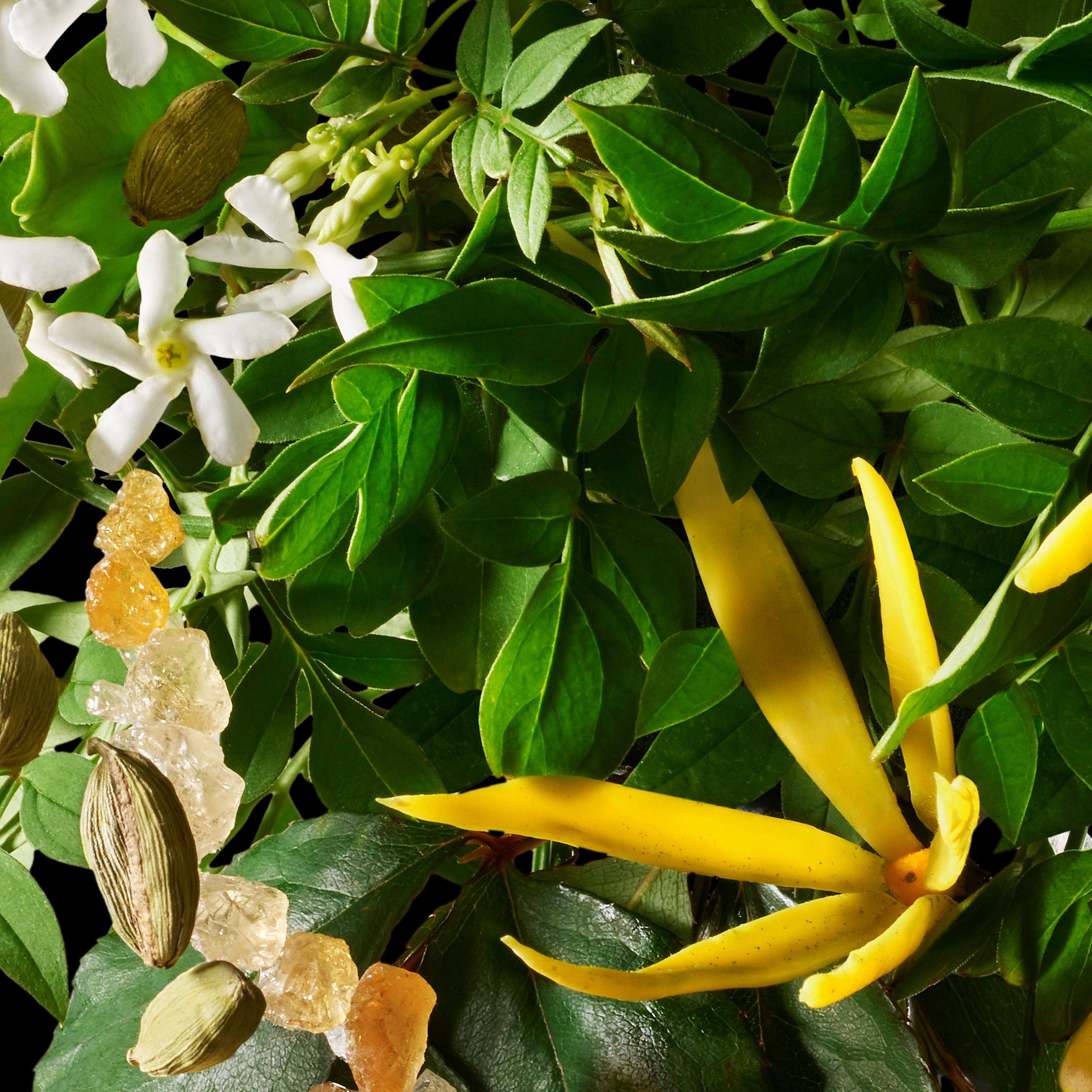Product image 4 of 4, which shows Molton Brown Relaxing Ylang-Ylang Body Lotion, 300ml