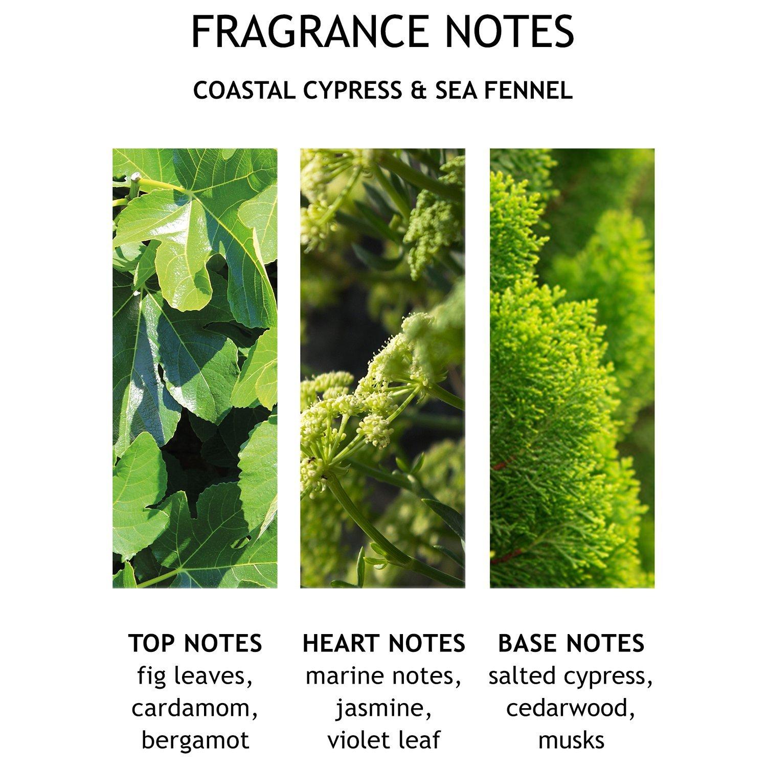 Product image 4 of 6, which shows Molton Brown Coastal Cypress & Sea Fennel Fine Liquid Hand Wash, 300ml