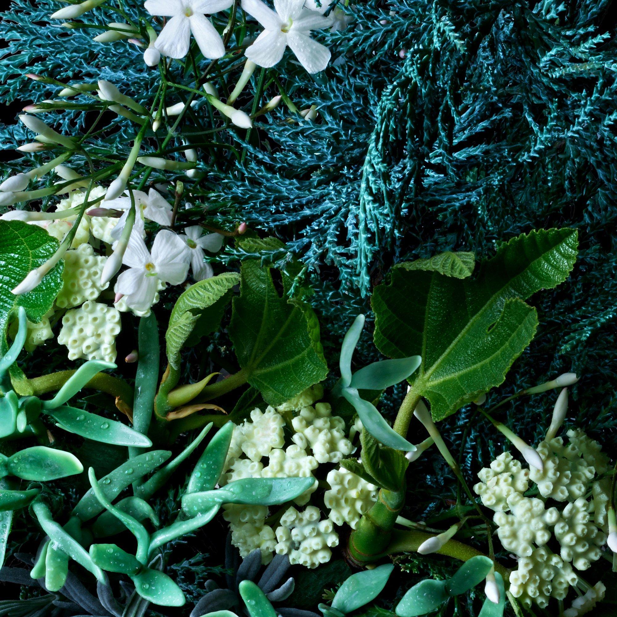 Product image 5 of 6, which shows Molton Brown Coastal Cypress & Sea Fennel Fine Liquid Hand Wash, 300ml