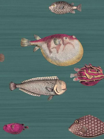 Cole & Son Acquario Wallpaper, Viridian