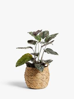 John Lewis Patterned Weave Water Hyacinth Planter - view 2, Natural